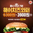 해쉴 이미지