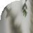 365상쾌한속연합내과의원 이미지