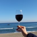 살맛나는세상 이미지