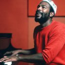 Being Fore 이미지