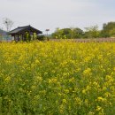 전라남도 농업박물관(운동장) 이미지