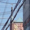 로하조경