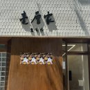 산대월리 | 강릉 카페 추천 (호리가 에그타르트, 테라로사 사천해변점), 순포해변 피크닉 🧺