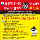 용인대 TM 태권도 이미지