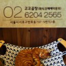 고고한우곱창 이미지