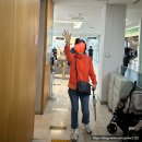 나리울동물병원 | 김포산부인과 나리여성병원 감성분만 제왕절개로 망고 만나다! 39주 3일