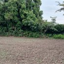 봉성리마을회관 이미지