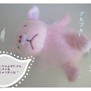 돼지짱 이미지