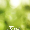 최정민에스테틱 네이버블로그