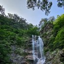 강촌장어집 이미지