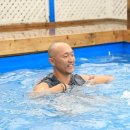 폼나"개" 이미지