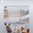안녕 똑독아(안서점) 이미지