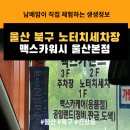미백카손세차정비 | 울산 북구 노터치 세차 본점 오픈 흠집 걱정 없는 프리미엄 노터치세차 맥스카워시 울산본점 방문 후기