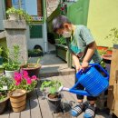 은행나무어린이도서관 이미지