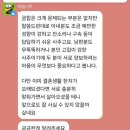 [체험] 하늘나무 사주연구소, 궁합