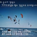 월드카이트