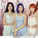 마카마카 카카오 검색결과