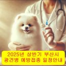 금정온누리약국 이미지