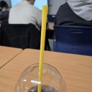 3月、 너를 만나 시작됐어 나의 사랑의 계절