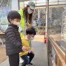11월 ＜열린 숲 놀이터-동천자연식물원 (4)-미니동물원 동물 먹이주기 체험＞ 이미지