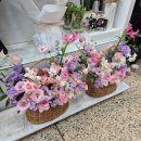 방배로23길 22 | [결혼준비1] 첫인사