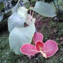 병인농장 이미지