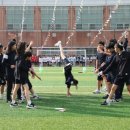 푸른잔디 이미지