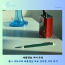 애플펜슬 커버 추천 낼나 제도샤프 애플펜슬 프로 실리콘 커버 내돈내산 솔직후기