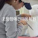 유지네 애견미용샵 이미지