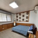 조이애견 이미지