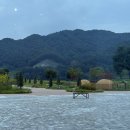 대성모텔 | 충주반값여행 (숙소, 식당, 카페) 1인 후기