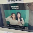 금영약국 이미지