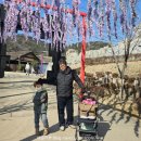 가야테마파크 | 김해가야테마파크 눈썰매장 후기