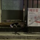 진미플라워