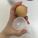 자취생 다이어터 집들이 선물 추천 &lt;실리만 데일리 계란찜기 3구&gt;