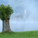 세보식품 이미지