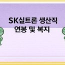 씨유에스케이실트론2공장점 | SK실트론 생산직 연봉 및 복지