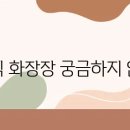 반려동물 이동서비스 이미지