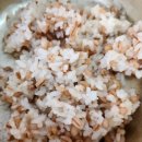 진미보리밥 이미지