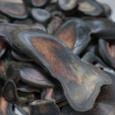 송파부부한의원 이미지