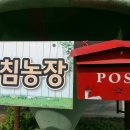 정예농장 이미지