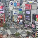 세븐일레븐 구미지산대로점 | [도쿄] 일본 편의점, 돈키호테 간식 후기 / 기념품 추천템 리스트