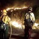 천하태평 이미지