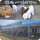 석모도스케치펜션