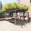 목화공인중개사사무소 이미지