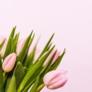 복다방 이미지