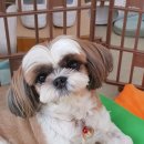 고방동물병원 이미지