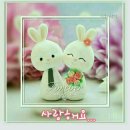 바른차정비 이미지