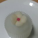 애플블러썸