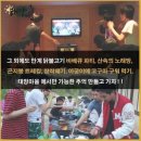 델루나 관광펜션 | 의성 한옥 델루나 완벽 가이드 | 가격·예약·후기 총정리 (촌캉스 숙소 추천)